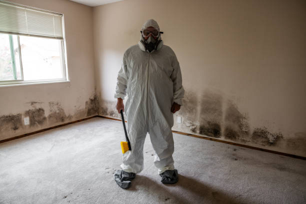 Best Commercial Mold Remediation in Bryn Mawr Skyy, WA