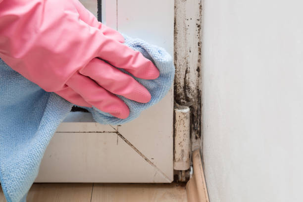 Best Bathroom Mold Remediation in Bryn Mawr Skyy, WA
